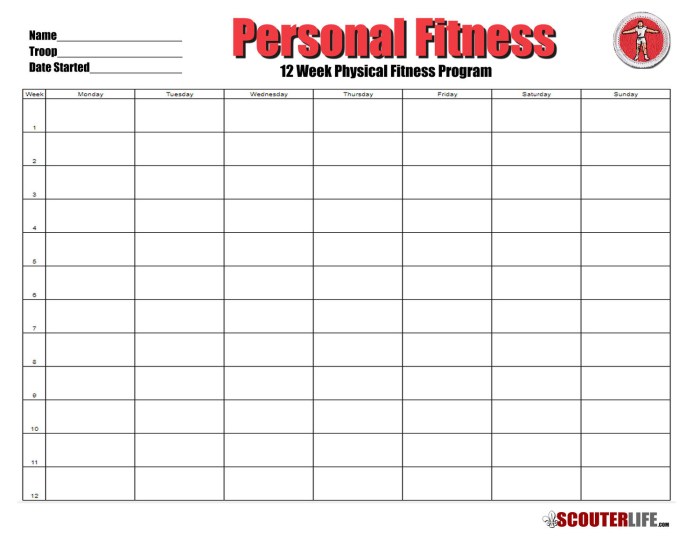 Fitness badge merit personal log